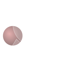 Gold certified medal icon with a checkmark, symbolising guaranteed loyalty bonus and added value.